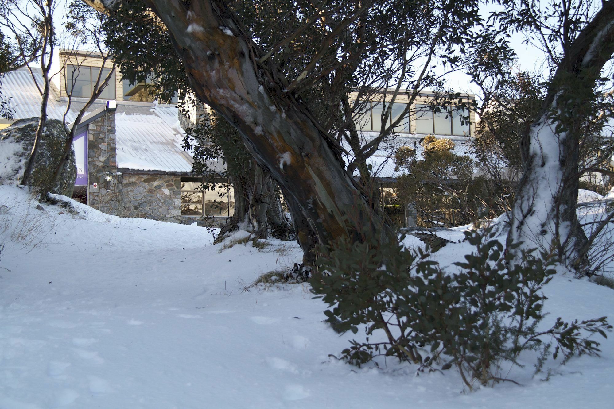 Snowy Gums Chalet Hotel Perisher Valley Exterior photo